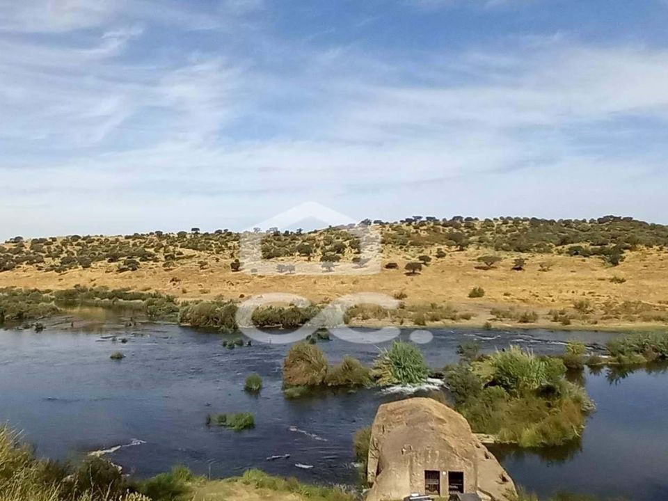 Farm hus i Serpa, Beja - foto 5