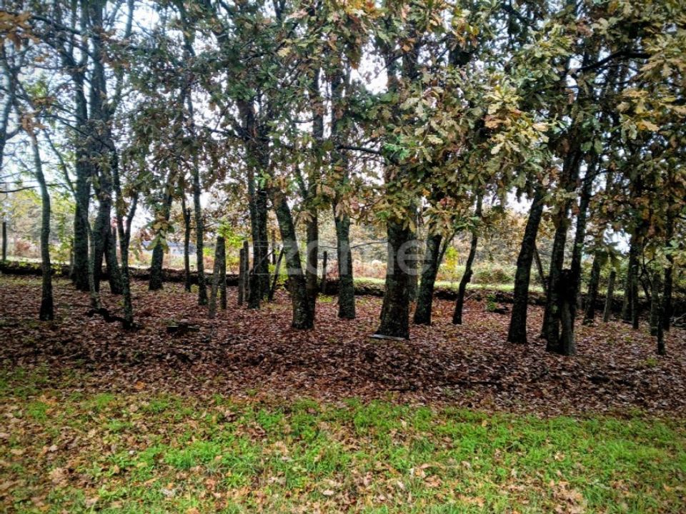Tomt i Abraveses, Viseu - bilde 2