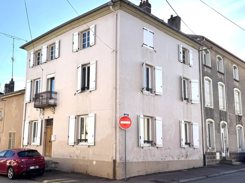 Villa i Blainville-sur-l'Eau, Meurthe-et-Moselle - foto 1