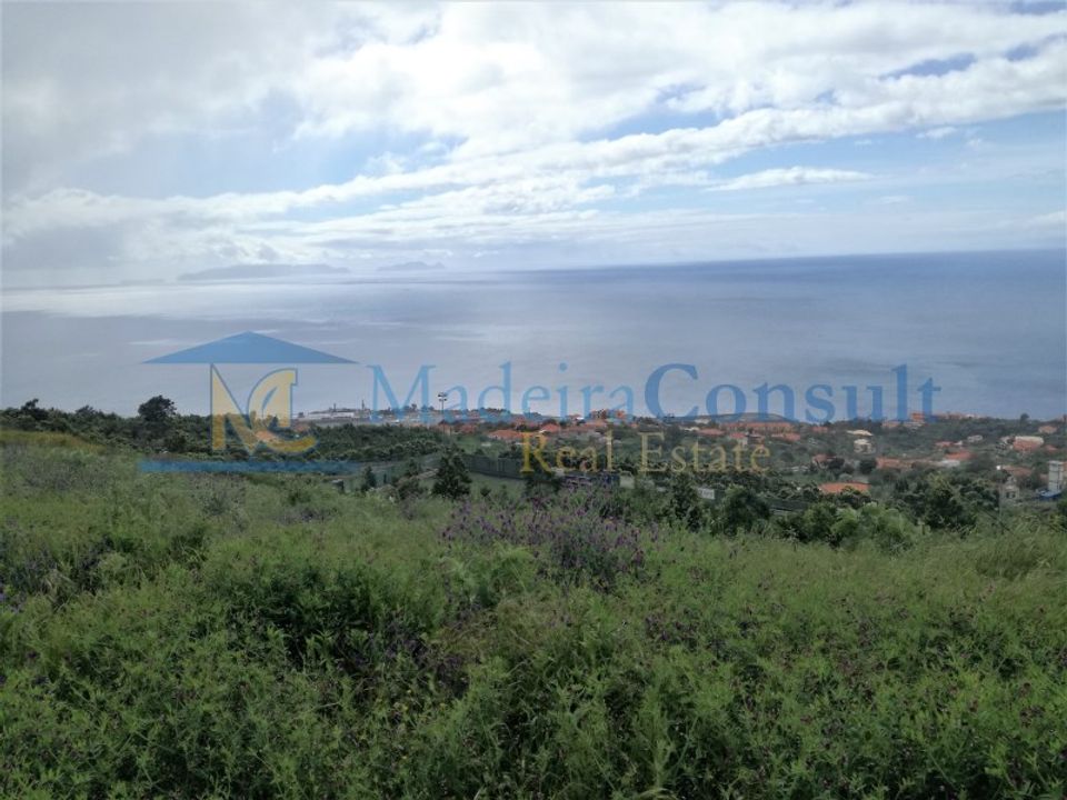 Villa i Santa Cruz, Madeira - foto 5