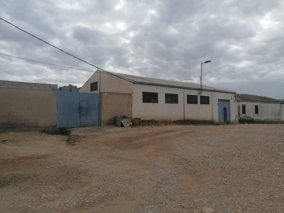 Helårsgrund i Crevillent, Alicante - foto 1