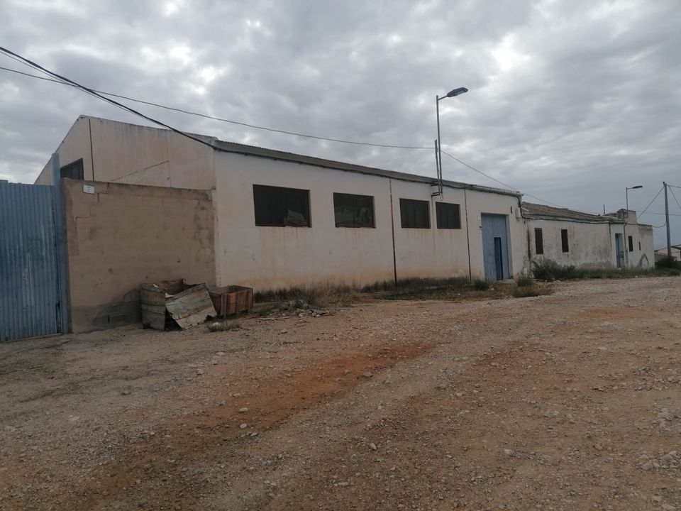 Helårsgrund i Crevillent, Alicante - foto 2