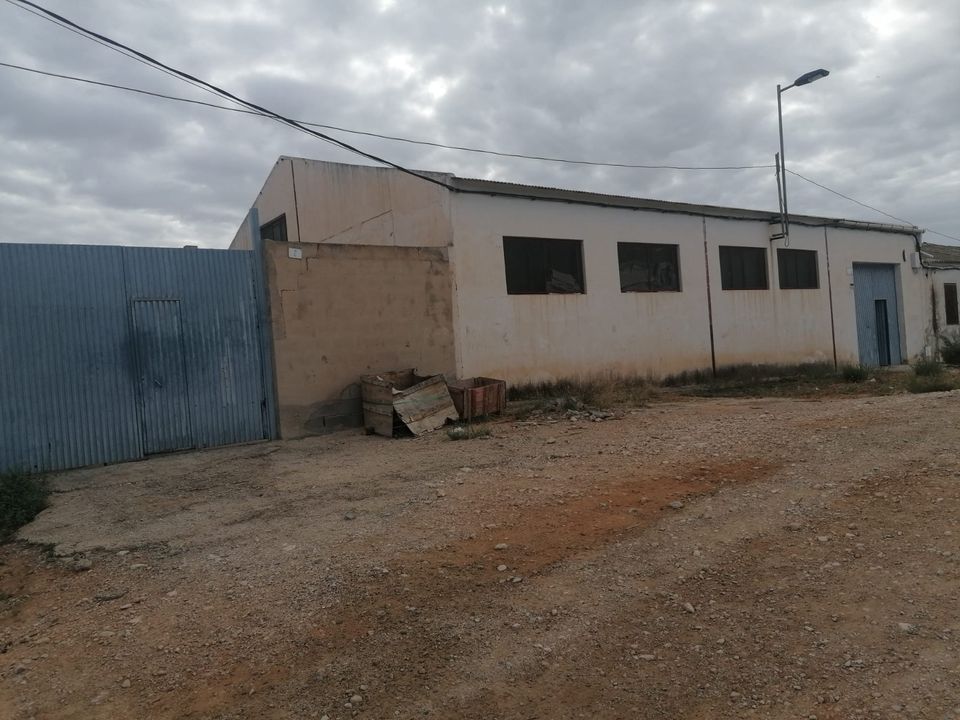 Helårsgrund i Crevillent, Alicante - foto 3