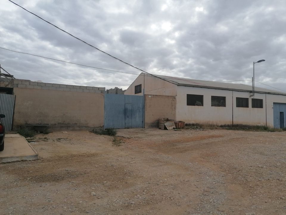 Helårsgrund i Crevillent, Alicante - foto 4