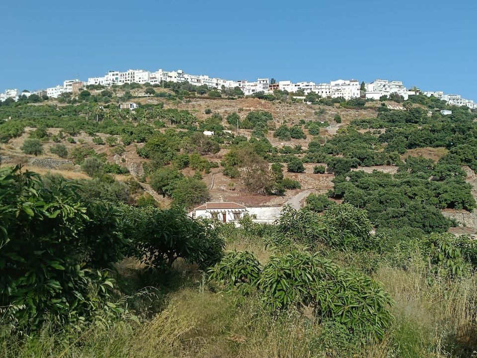 Helårsgrund i Frigiliana, Malaga - foto 2