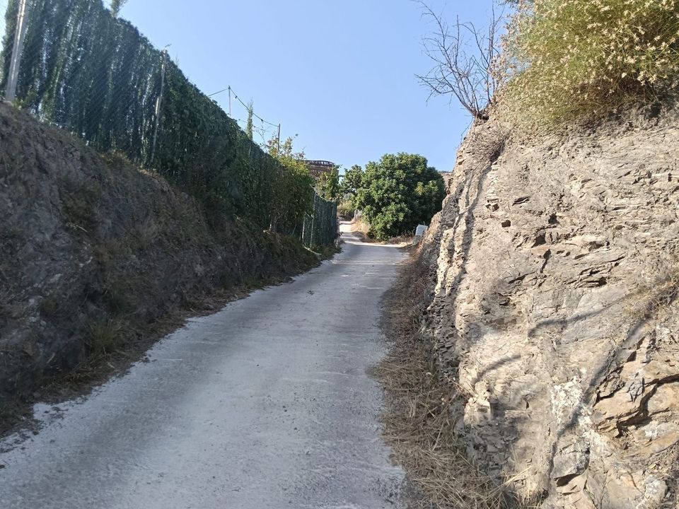 Helårsgrund i Frigiliana, Malaga - foto 3