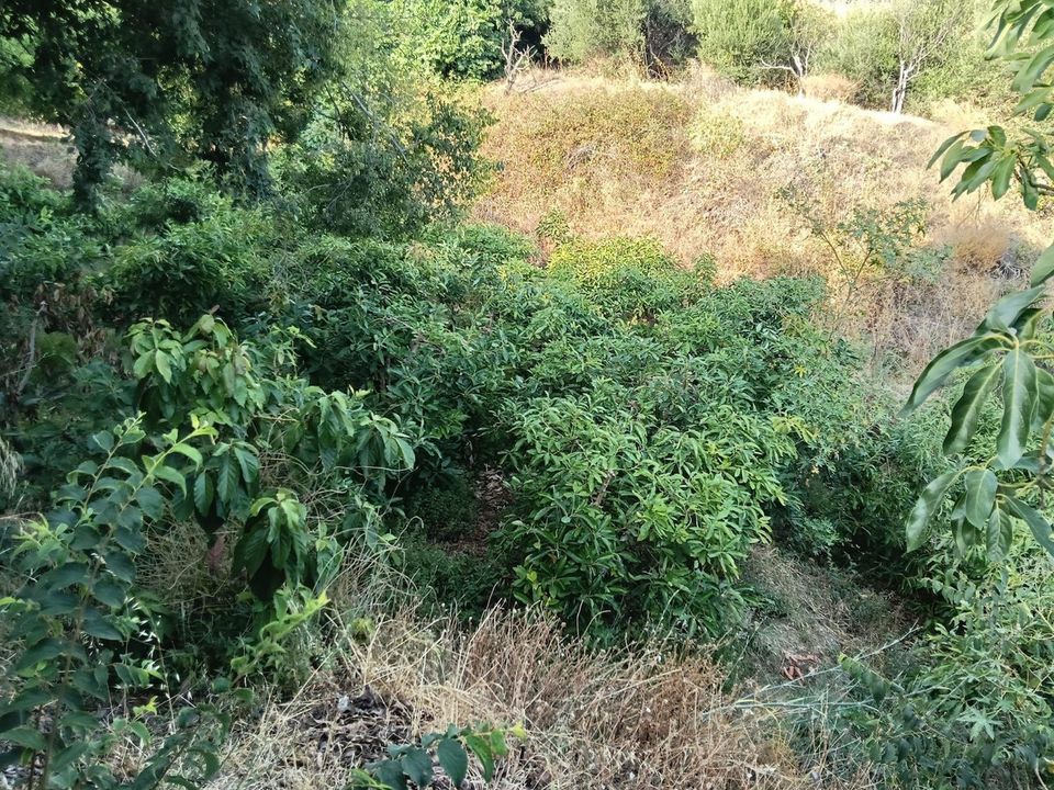 Helårsgrund i Frigiliana, Malaga - foto 5