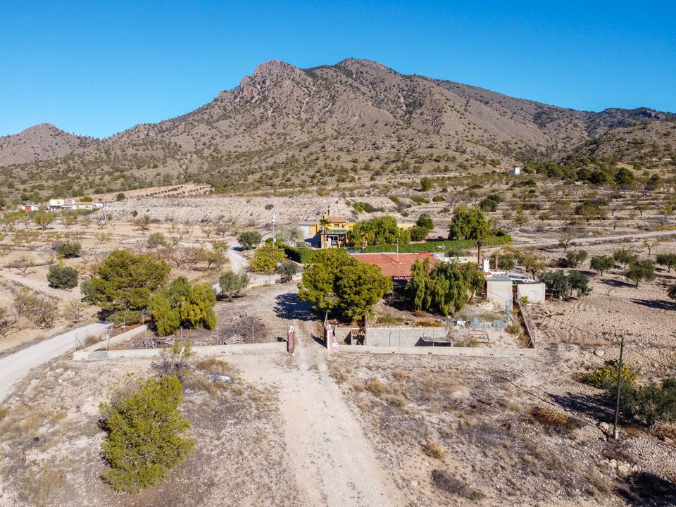 Landejendom i Jumilla, Murcia - foto 2