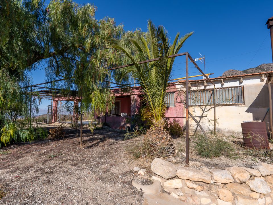Landejendom i Jumilla, Murcia - foto 3