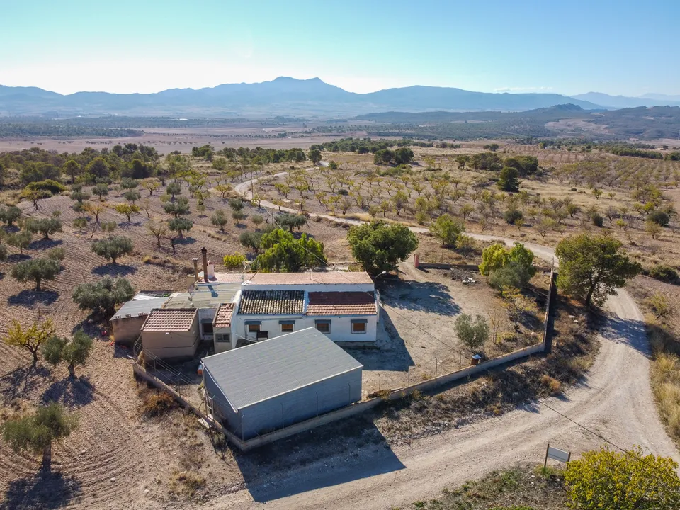 Landejendom i Jumilla, Murcia - foto 5