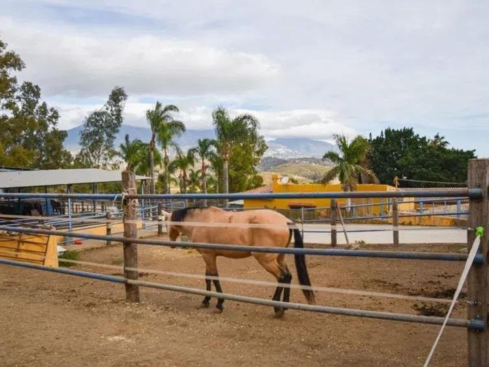 Finca i Mijas Costa, Malaga - foto 5