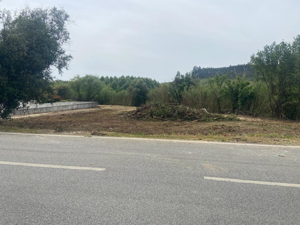 Helårsgrund i Anadia, Aveiro - foto 4