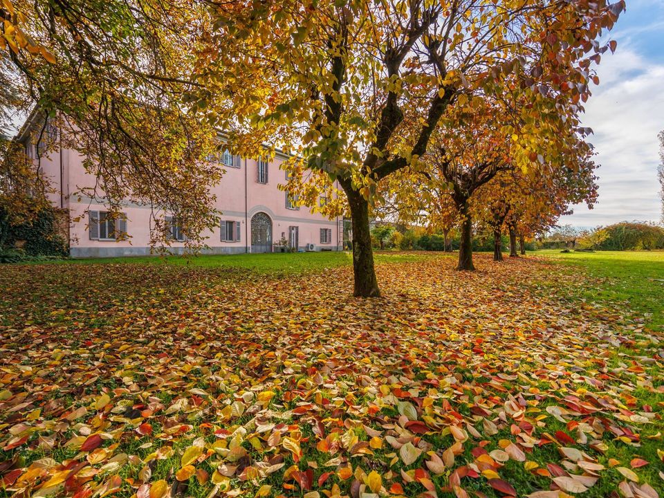 Lejlighed i Alessandria, Alessandria - foto 5