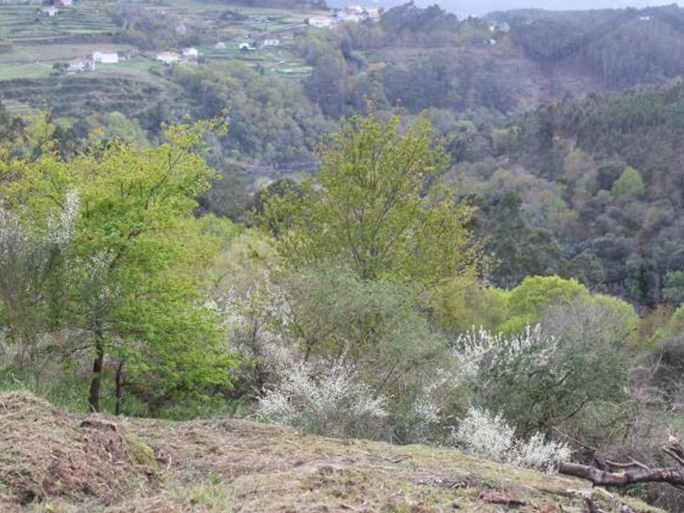 Villa en Melgaco, Viana do Castelo - foto 3