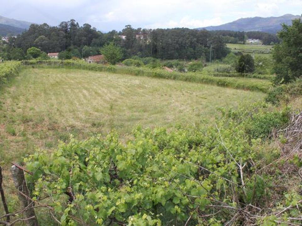 Helårsgrund i Melgaco, Viana do Castelo - foto 3
