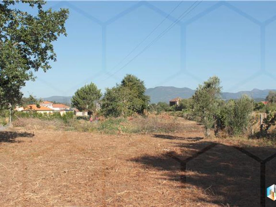 Terra a Valenca, Viana do Castelo - foto 1