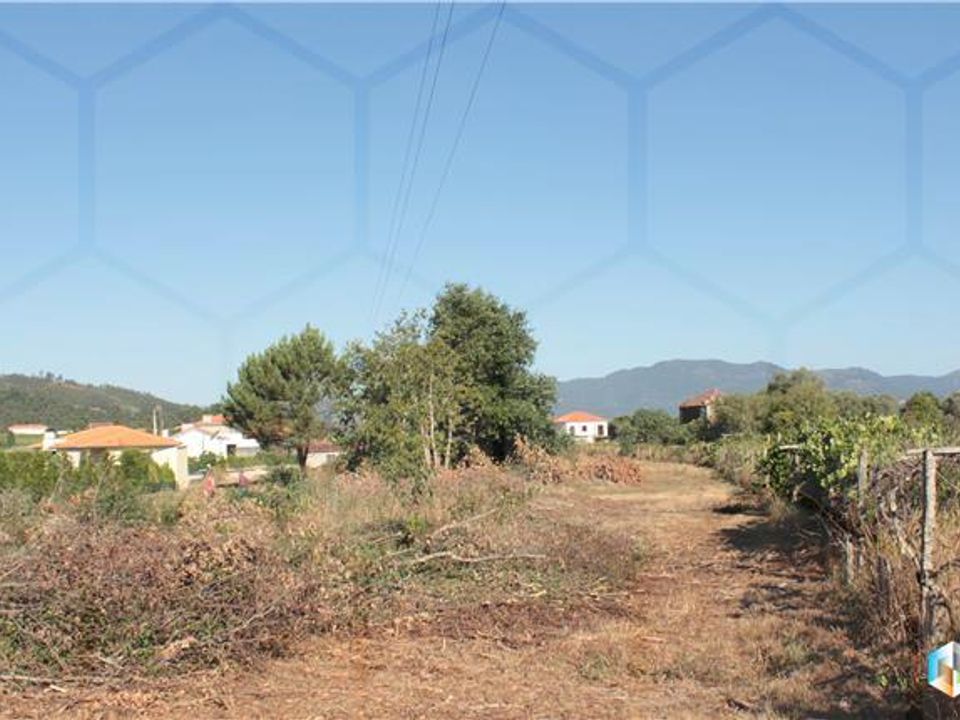Terra a Valenca, Viana do Castelo - foto 5