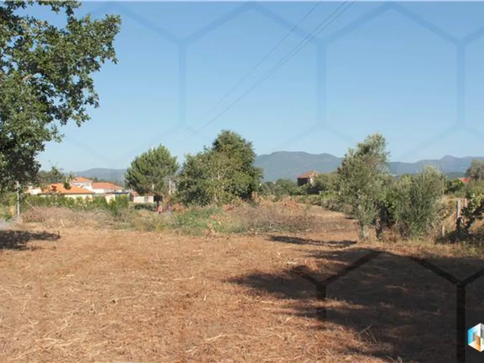 Terra em Valenca, Viana do Castelo - foto 1