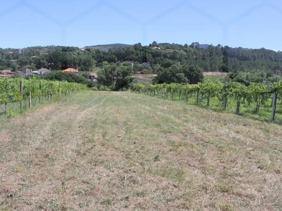 Helårsgrund i Moncao, Viana do Castelo - foto 3