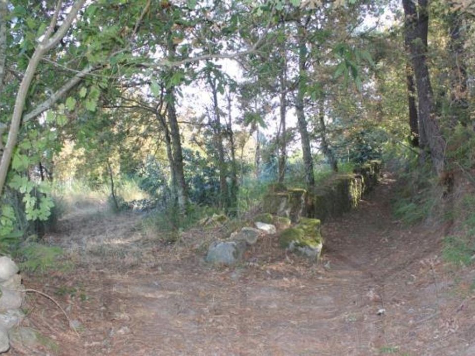 Terreno en Melgaco, Viana do Castelo - foto 4