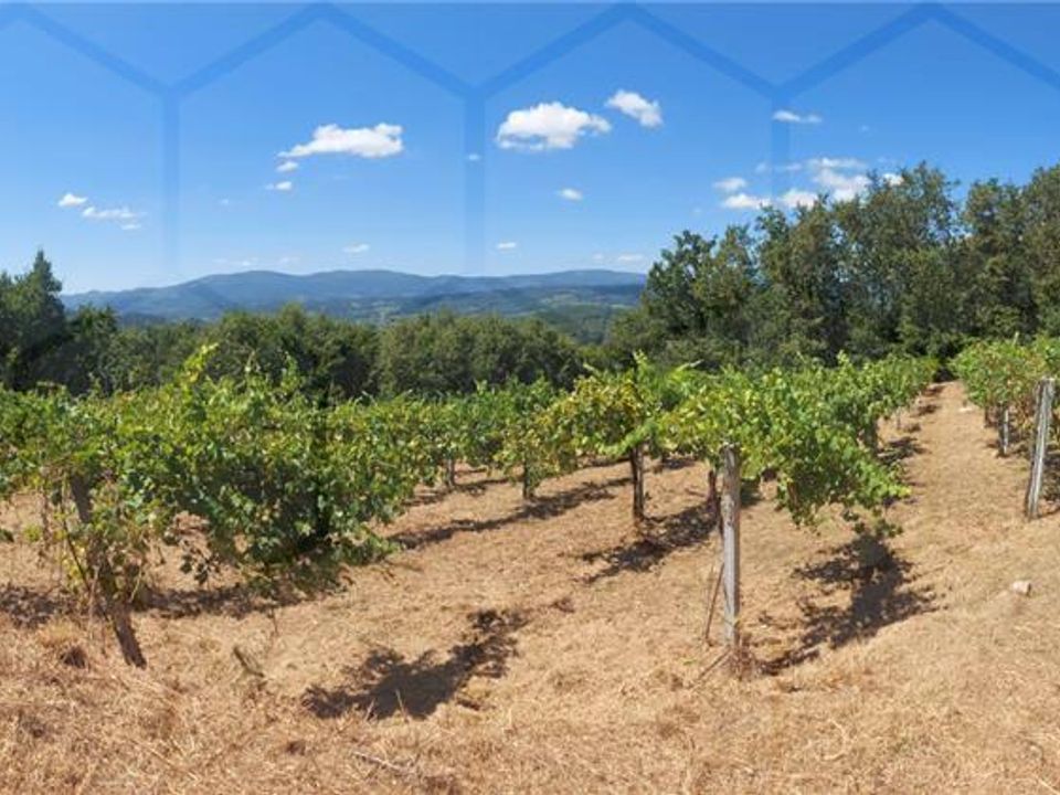 Helårsgrund i Melgaco, Viana do Castelo - foto 1