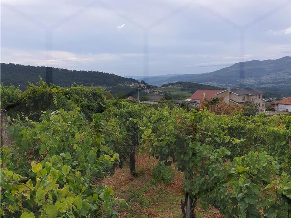 Helårsgrund i Jolda (Sao Paio), Viana do Castelo - foto 2