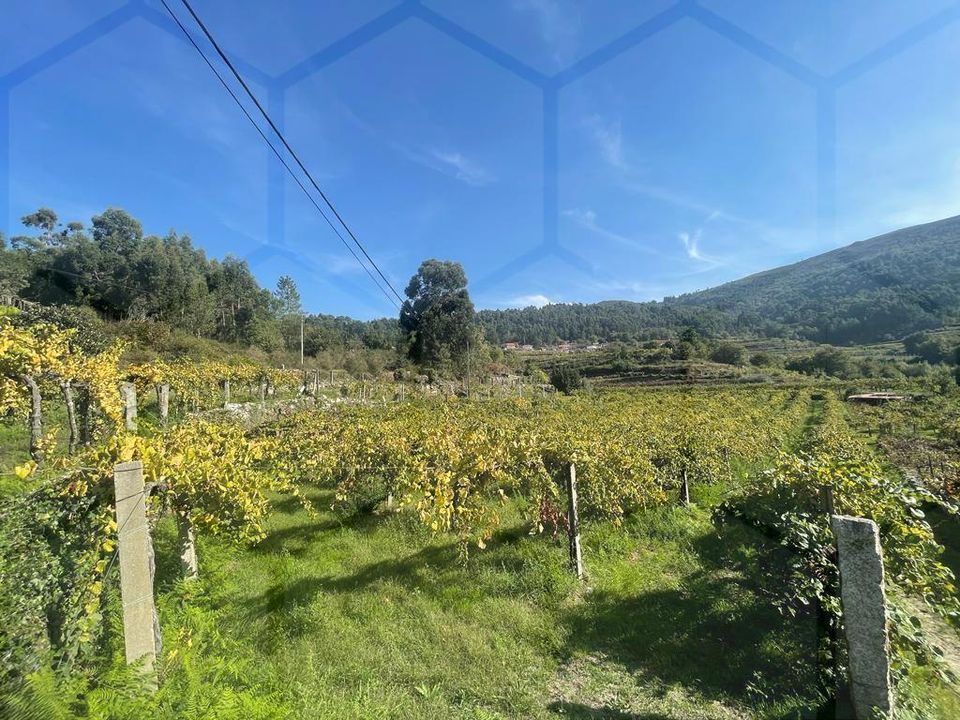Helårsgrund i Melgaco, Viana do Castelo - foto 1