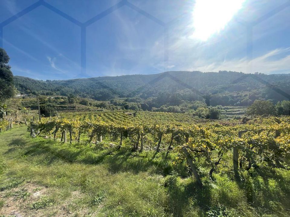 Helårsgrund i Melgaco, Viana do Castelo - foto 3