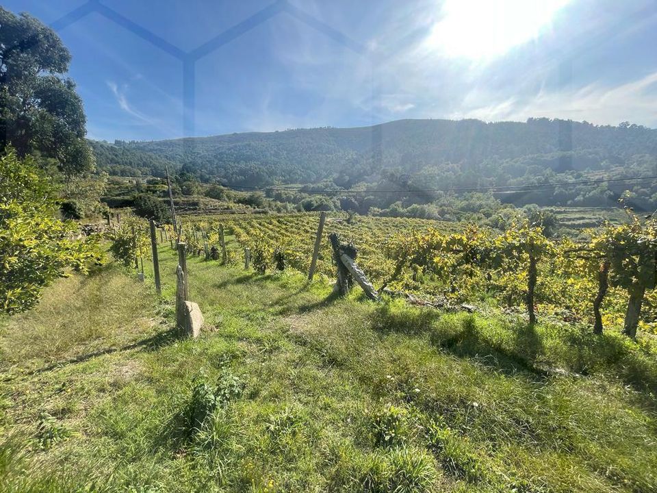Helårsgrund i Melgaco, Viana do Castelo - foto 4