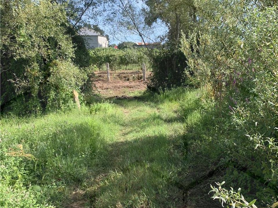 Helårsgrund i Moncao, Viana do Castelo - foto 4