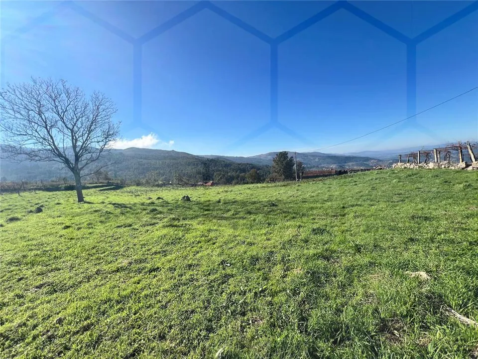 Willa: Melgaco, Viana do Castelo – zdjęcie 2