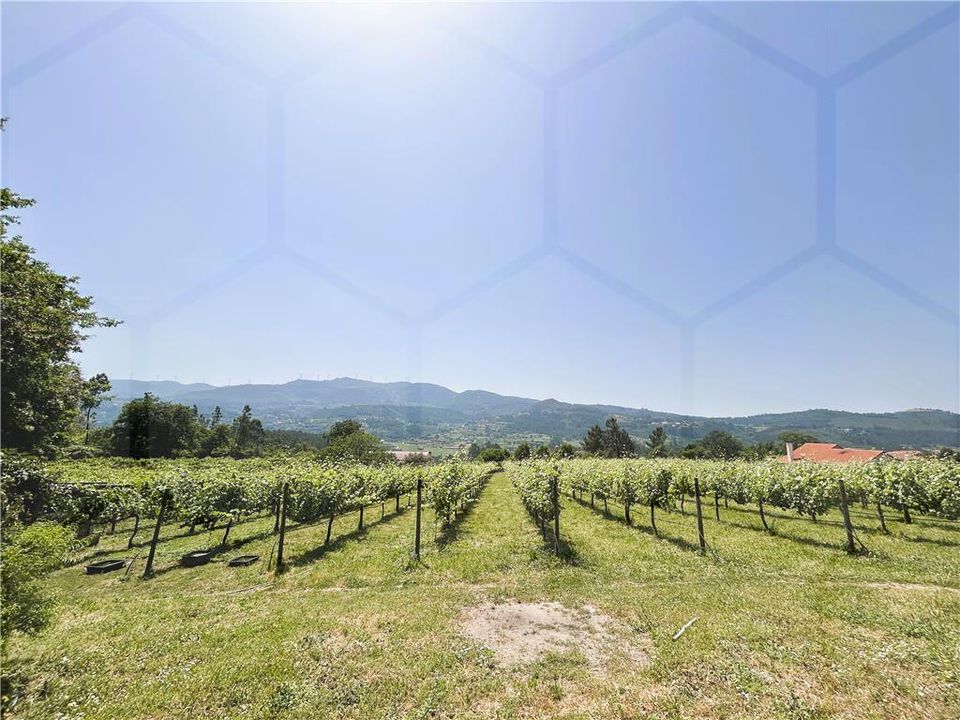 Villa i Podame, Viana do Castelo - foto 2