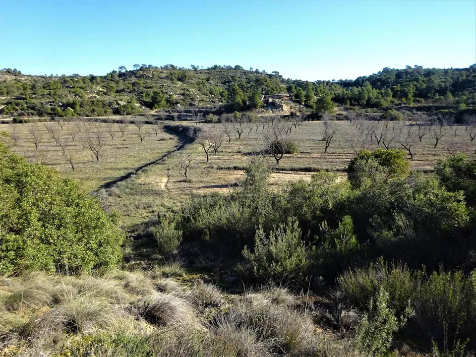 Finca a Fabara, Zaragoza - foto 5