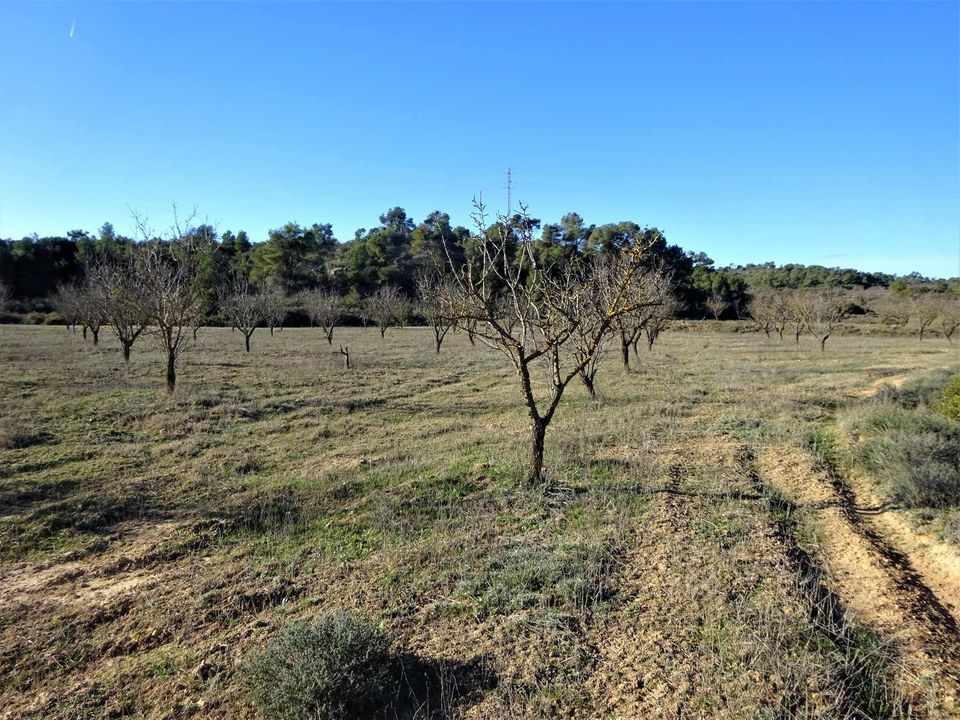 Finca a Fabara, Zaragoza - foto 2
