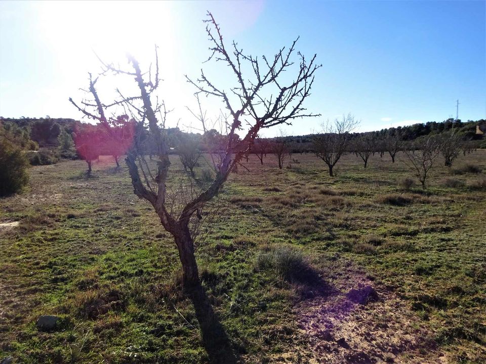 Finca a Fabara, Zaragoza - foto 3