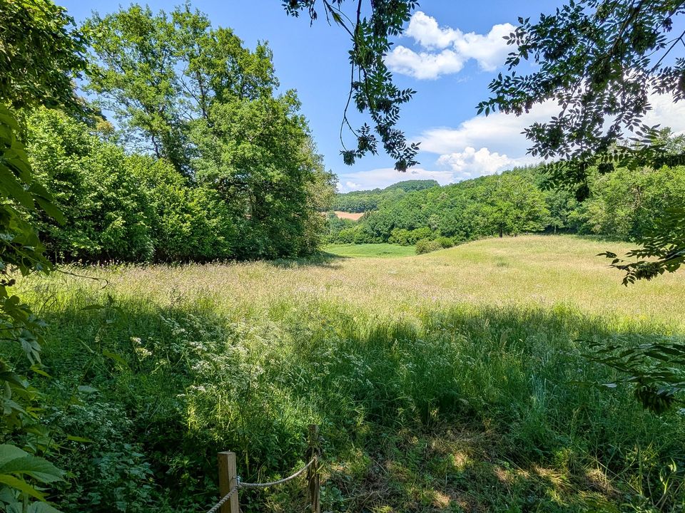 Landsbyhus i Laroquebrou, Cantal - foto 3