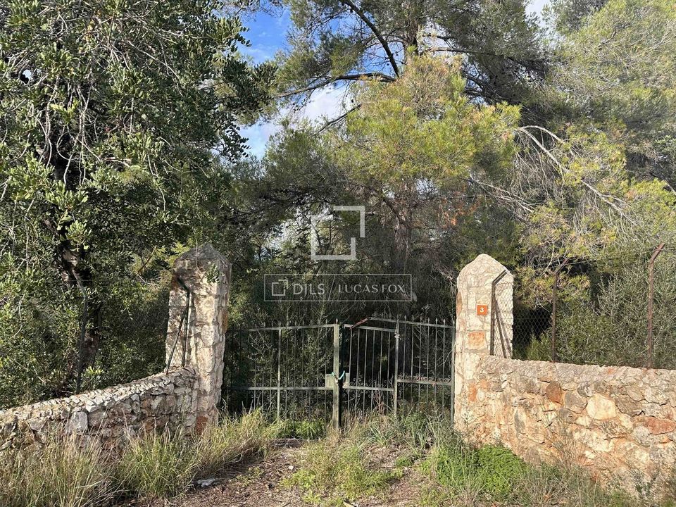 Helårsgrund i Bunyola, Mallorca - foto 1