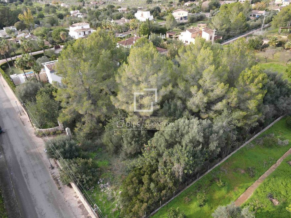Helårsgrund i Bunyola, Mallorca - foto 3