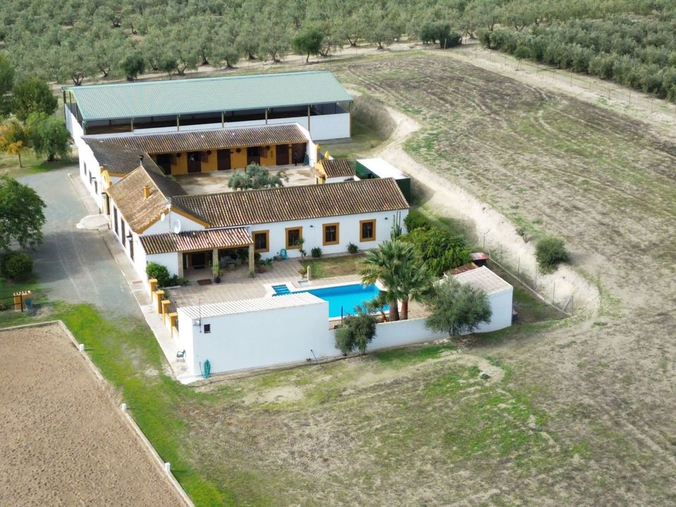 Herregård i Moron De La Frontera, Sevilla - bilde 3