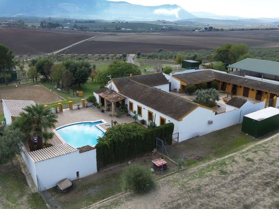 Herregård i Moron De La Frontera, Sevilla - bilde 2