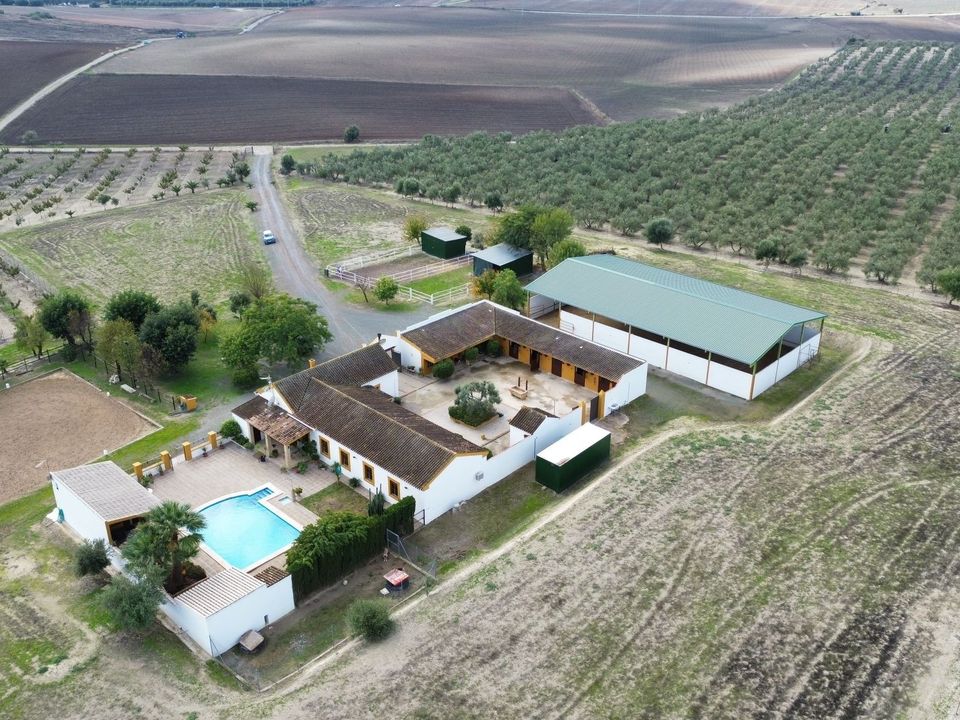 Herregård i Moron De La Frontera, Sevilla - bilde 1