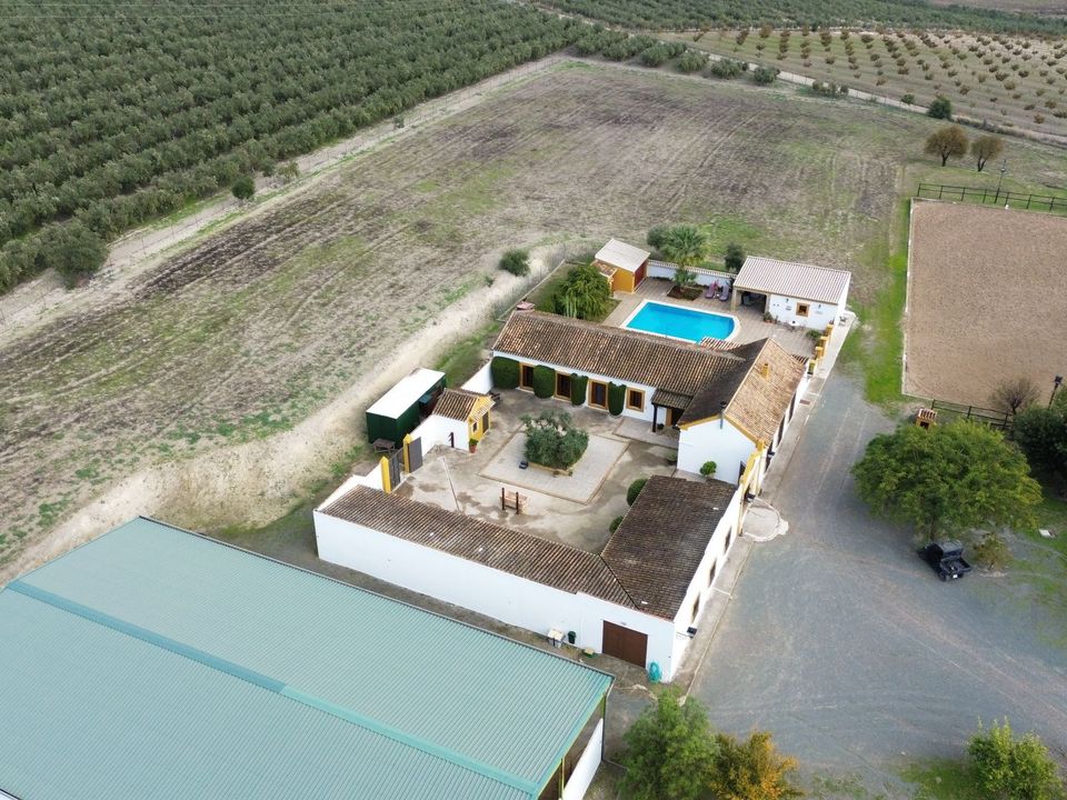 Herregård i Moron De La Frontera, Sevilla - bilde 4
