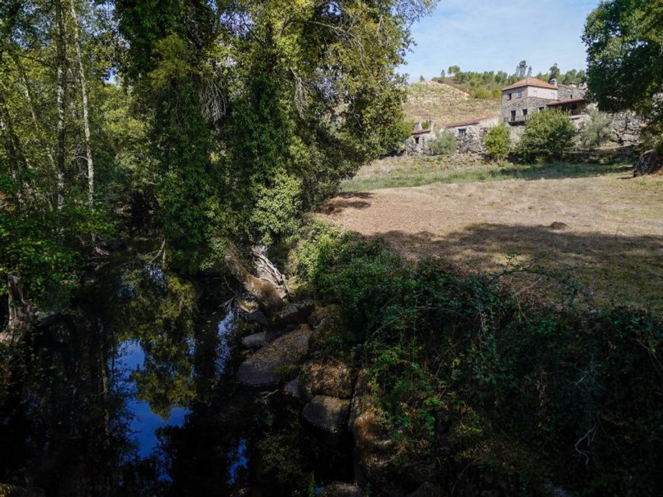 Farm i Ervedal e Vila Franca da Beira, Coimbra - foto 3