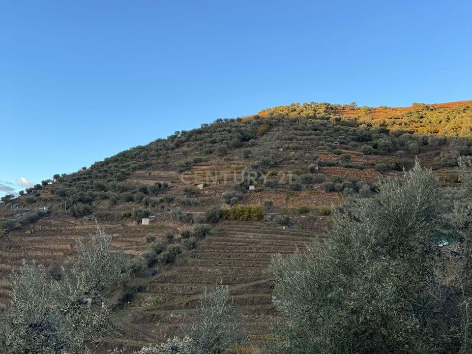 Helårsgrund i Santa Marta de Penaguiao, Vila Real - foto 1