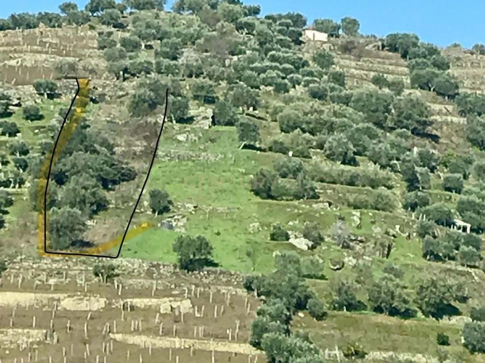 Helårsgrund i Santa Marta de Penaguiao, Vila Real - foto 4