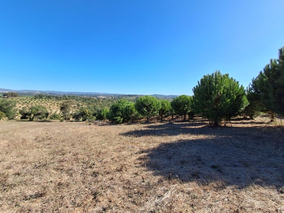 Helårsgrund i Alcobaca, Leiria - foto 2