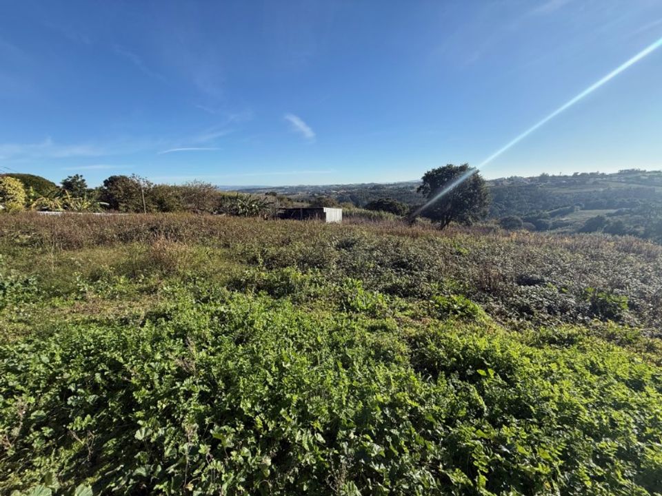 Helårsgrund i Obidos, Leiria - foto 3