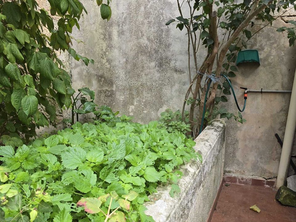 Villa i Palazzolo Acreide, Siracusa - foto 4