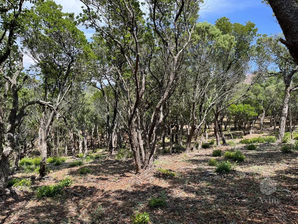 Helårsgrund i Saint-Raphaël, Var - foto 1