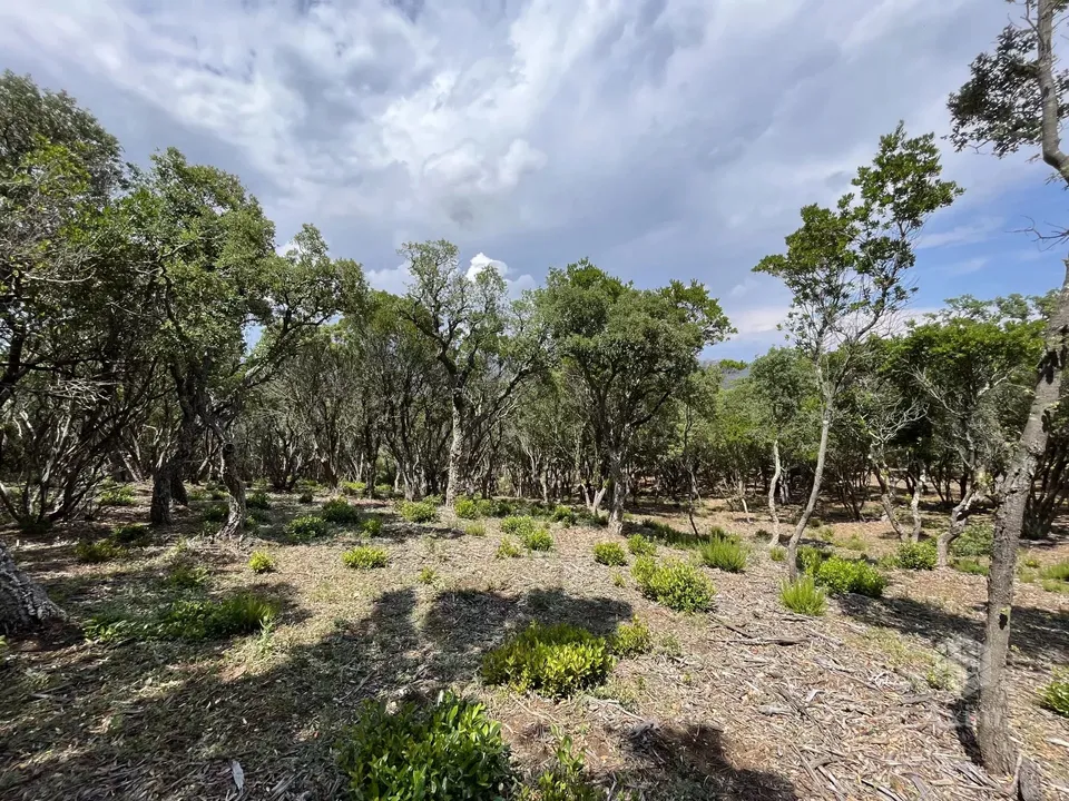 Helårsgrund i Saint-Raphaël, Var - foto 4